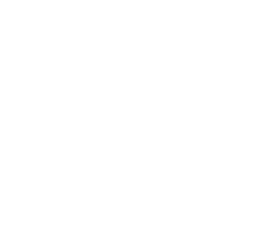FlorianWeb Logo